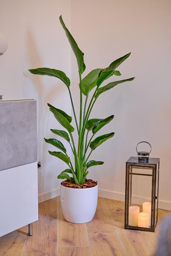 Appartement Remuria Domus